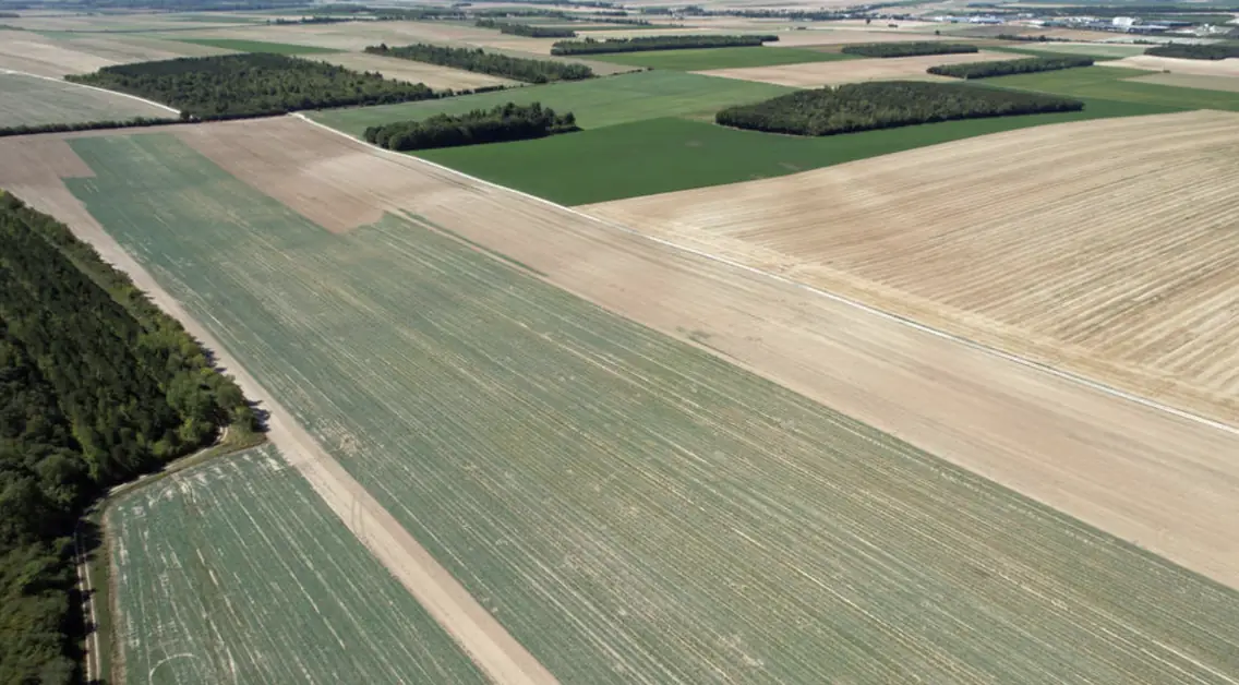 Vue aérienne de parcelles agricoles de cultures différentes